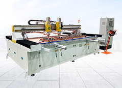 双工位伺服平台焊接机成功案例